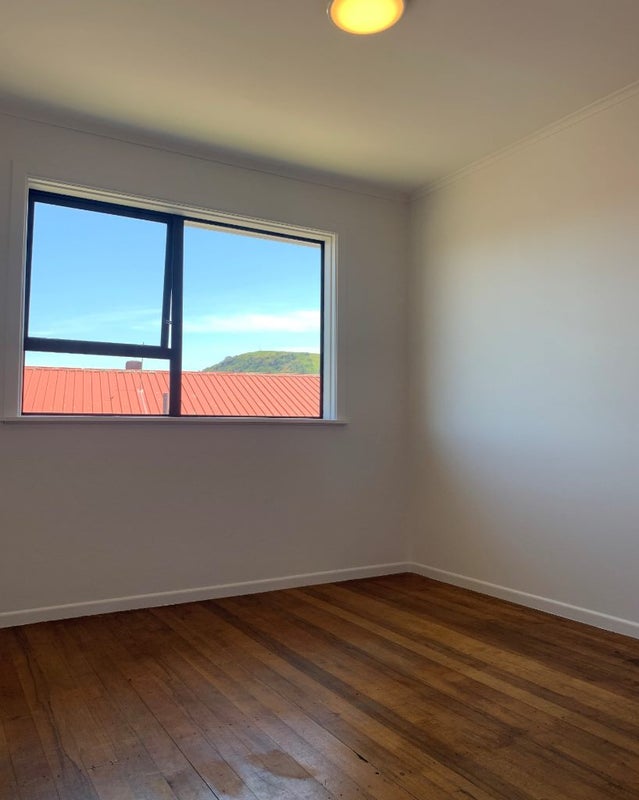3B Cleary Road, Panmure, Auckland - Carousel 15