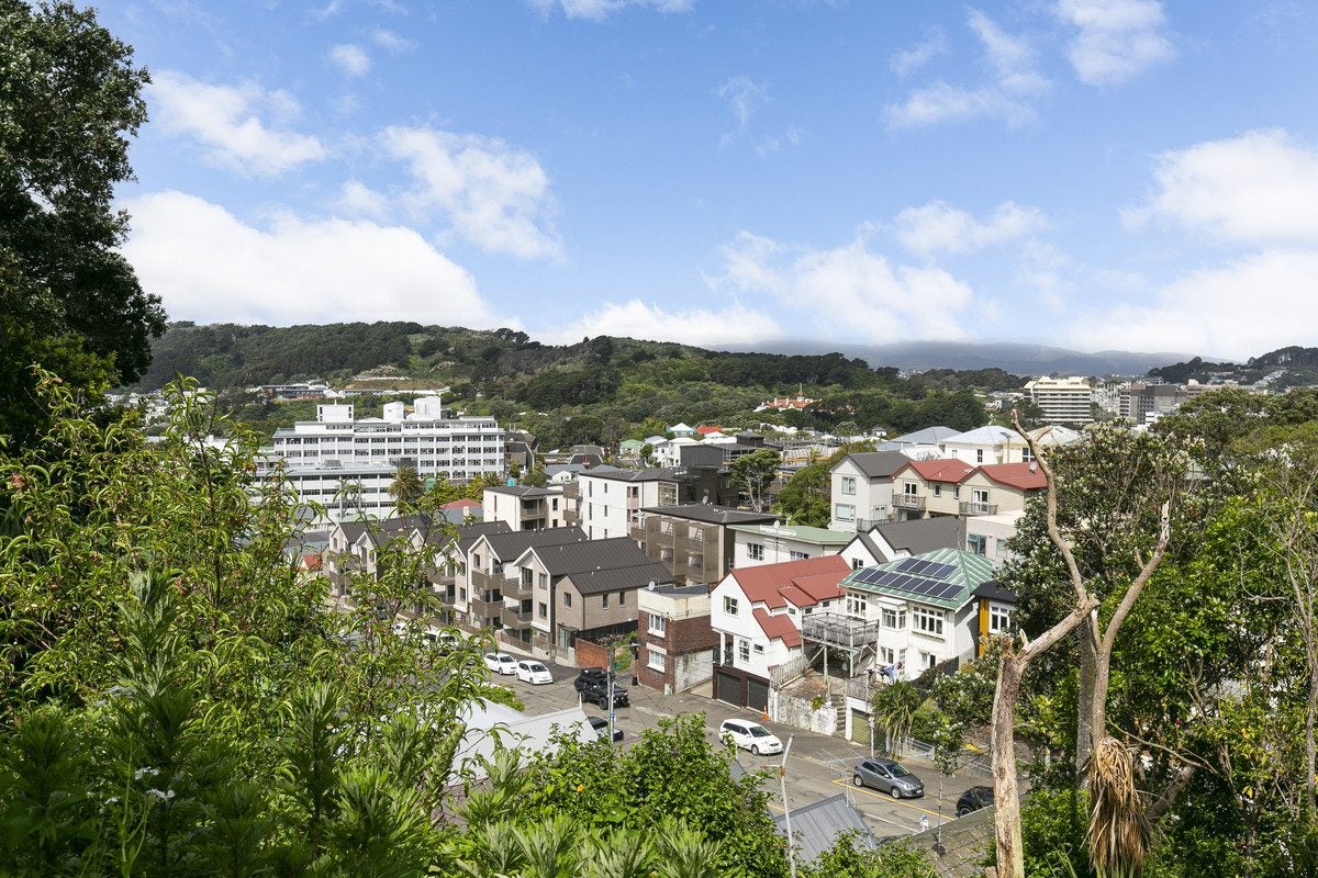 62 Rolleston Street, Mount Cook, Wellington - Carousel 2