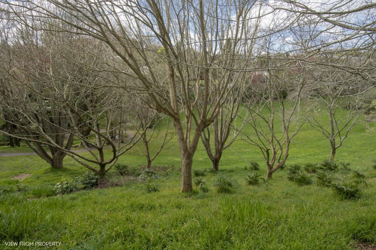 22 Honeysuckle Lane, Ohauiti, Tauranga - Carousel 23