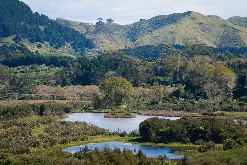 97 Koutunui Road, Athenree, Katikati - Carousel 2
