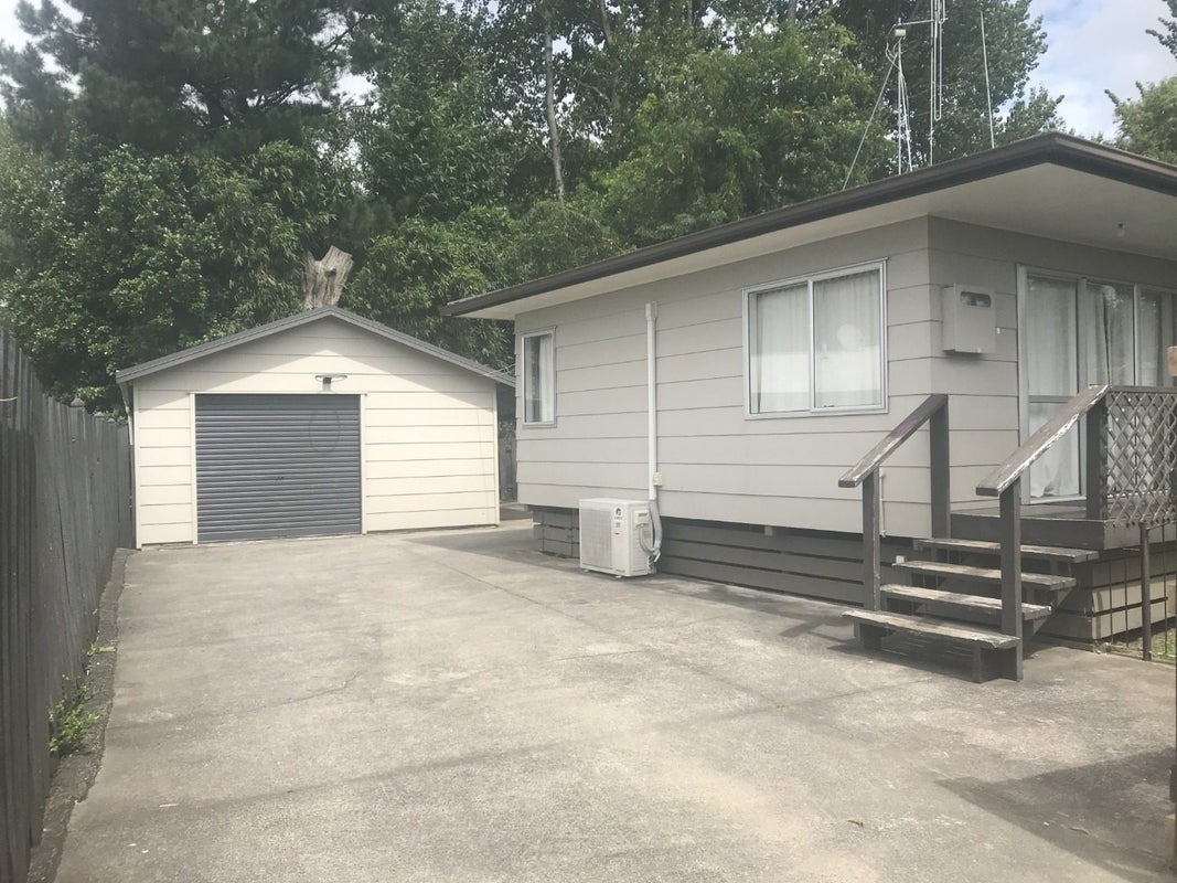141A Rimu Street, Maeroa, Hamilton - Carousel 1