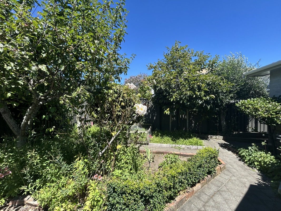 1/68 Tasman ST, The Wood, NELSON - Carousel 14