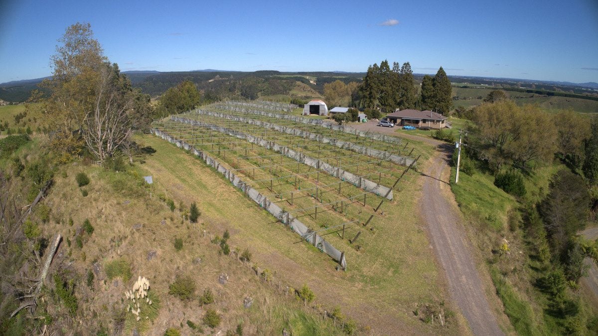 307 Campbell Road, Pukehina, Te Puke - Carousel 25