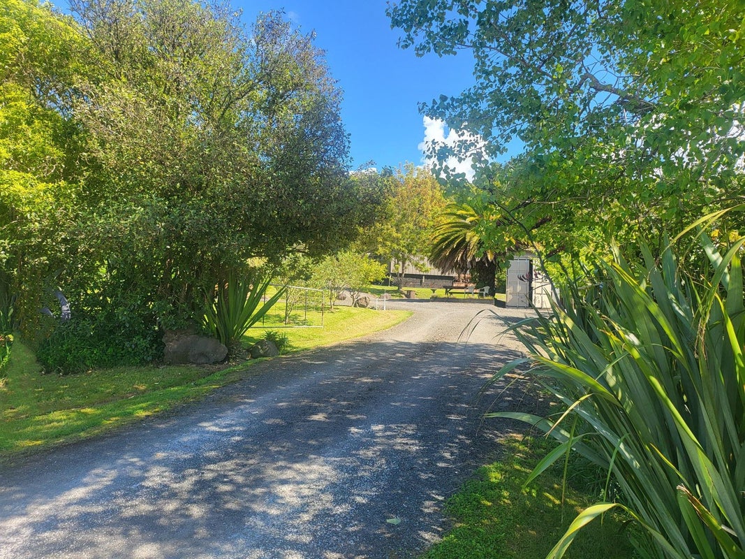 100 Shag Point Road, Shag Point, Palmerston - Carousel 31