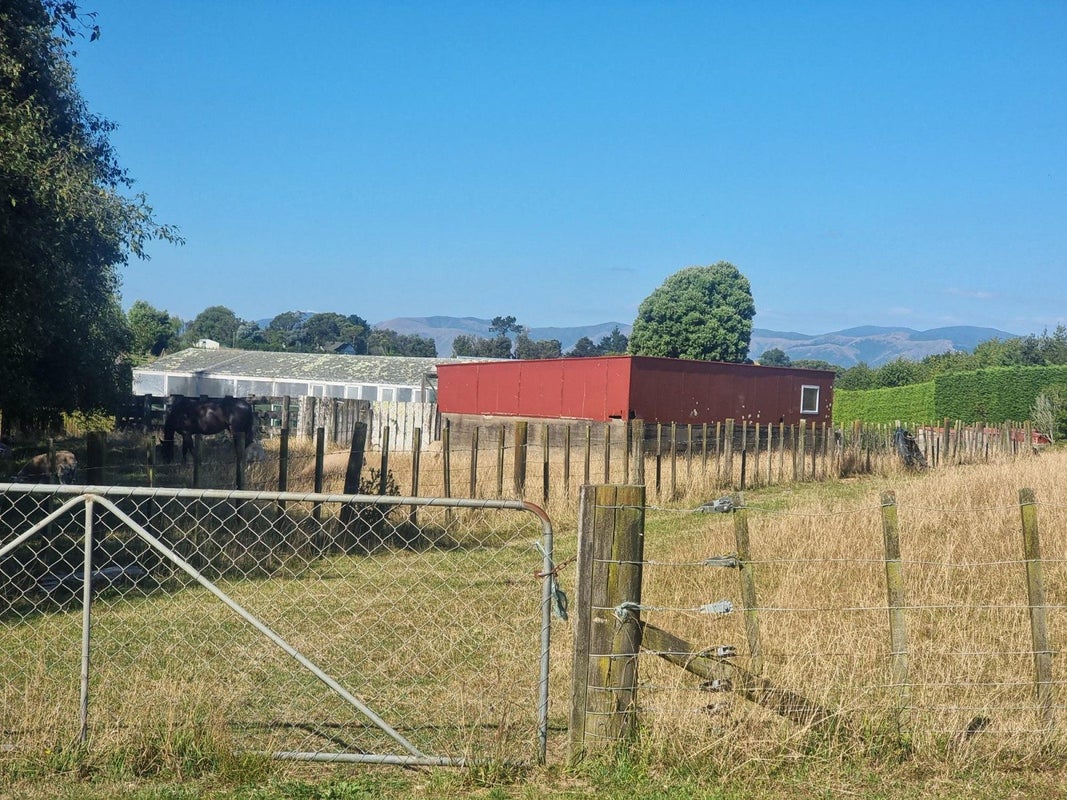18 Heatherlea Road, LEVIN, Levin - Carousel 28