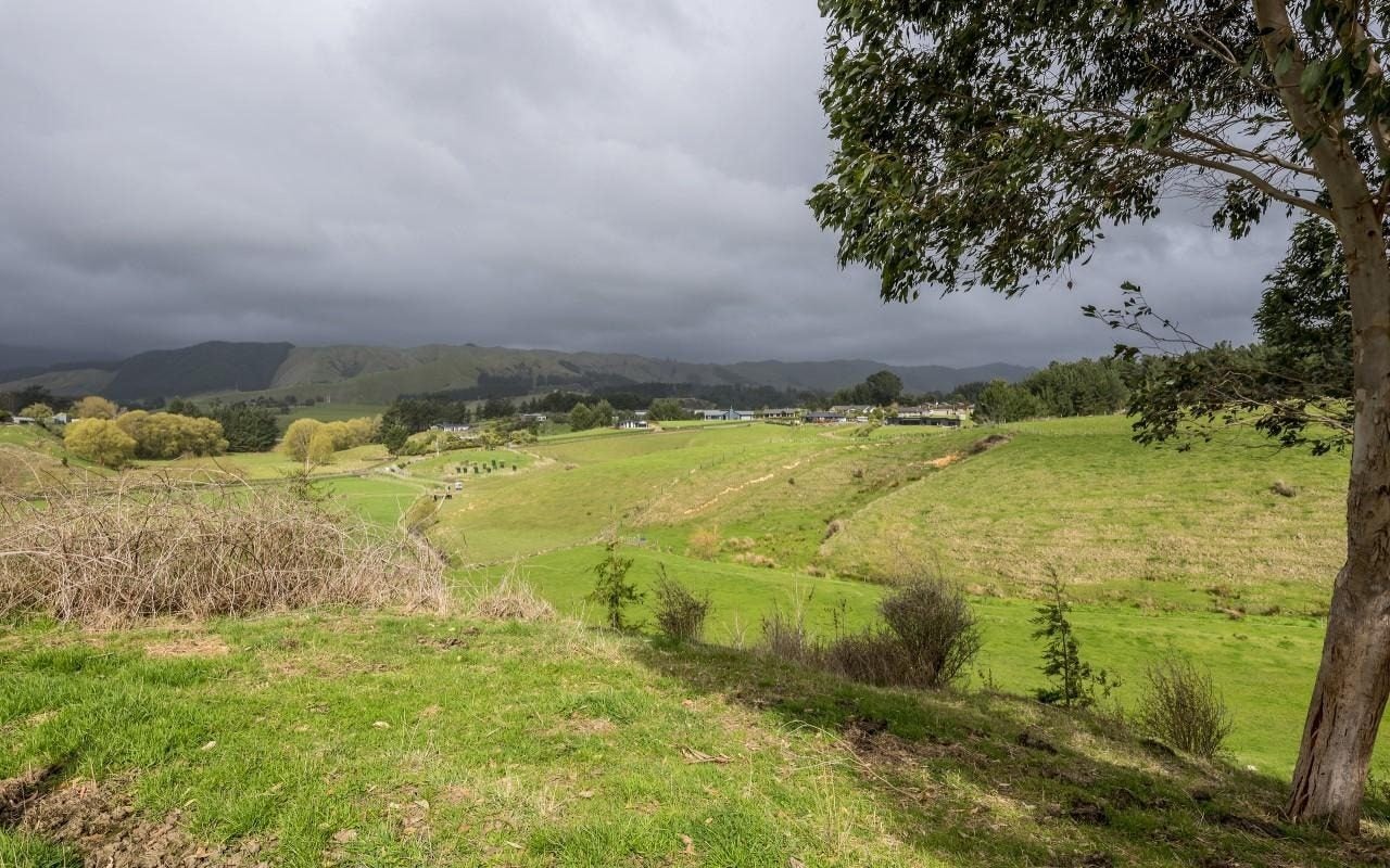 91 Buckley Road, Shannon, Palmerston North - Carousel 9