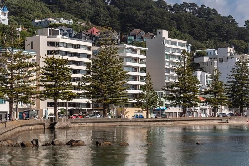 3/254 Oriental Parade, Oriental Bay, Wellington - Carousel 1