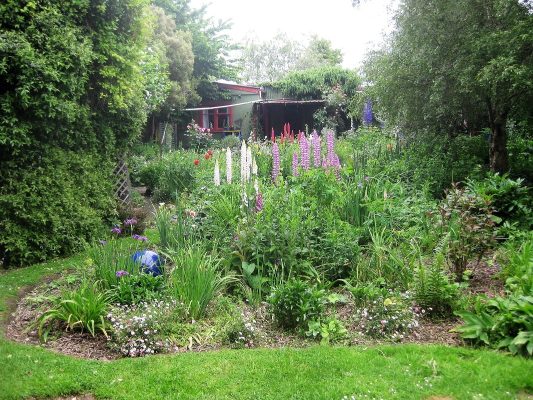 3 Kerr Street, Karitane, Waikouaiti - Carousel 4