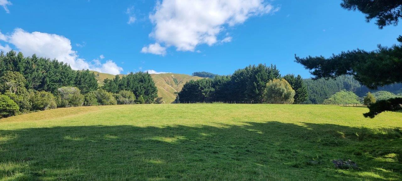 216 Potts Road, Koputaroa, Levin - Carousel 1