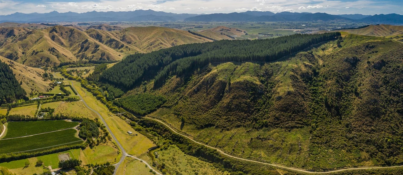 793 Taylor Pass Road, Taylor Pass, Blenheim - Carousel 23