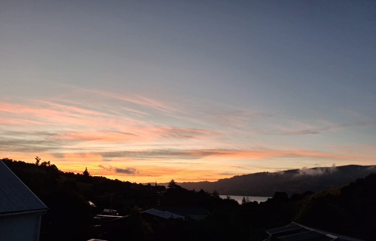 69 Greenacres Street, Macandrew Bay, Dunedin - Carousel 32