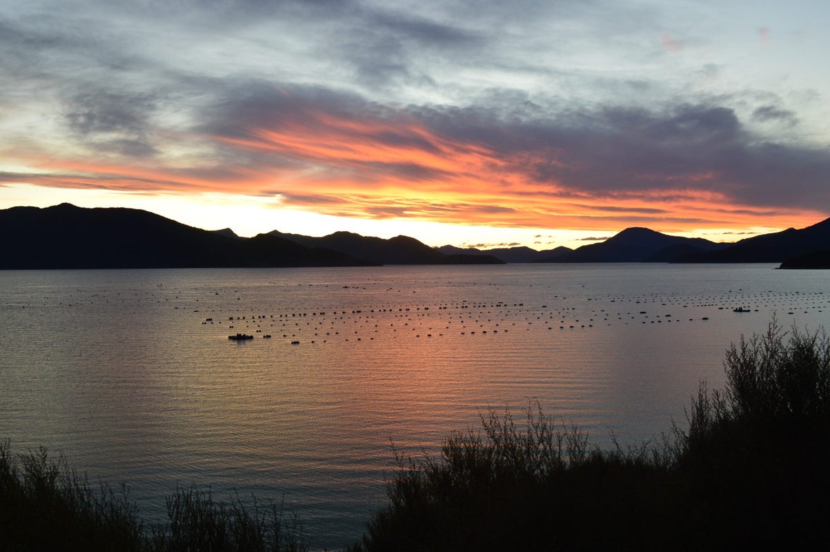 0 Clova Bay Road, Marlborough Sounds, Marlborough, Marlborough - Carousel 2