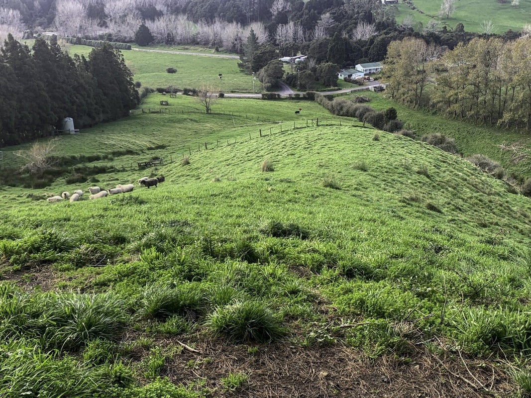 580 Maratoto Road, Hikutaia, Paeroa - Carousel 12