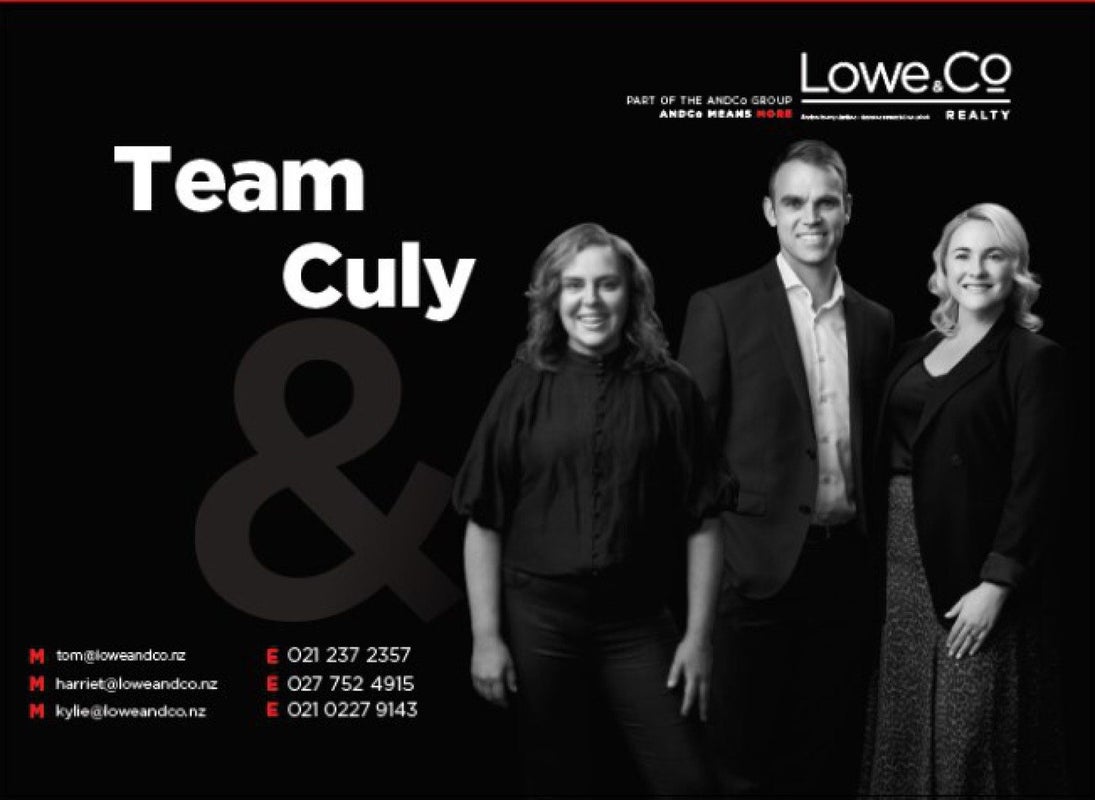 154 Owen Street, Newtown, Wellington - Carousel 15