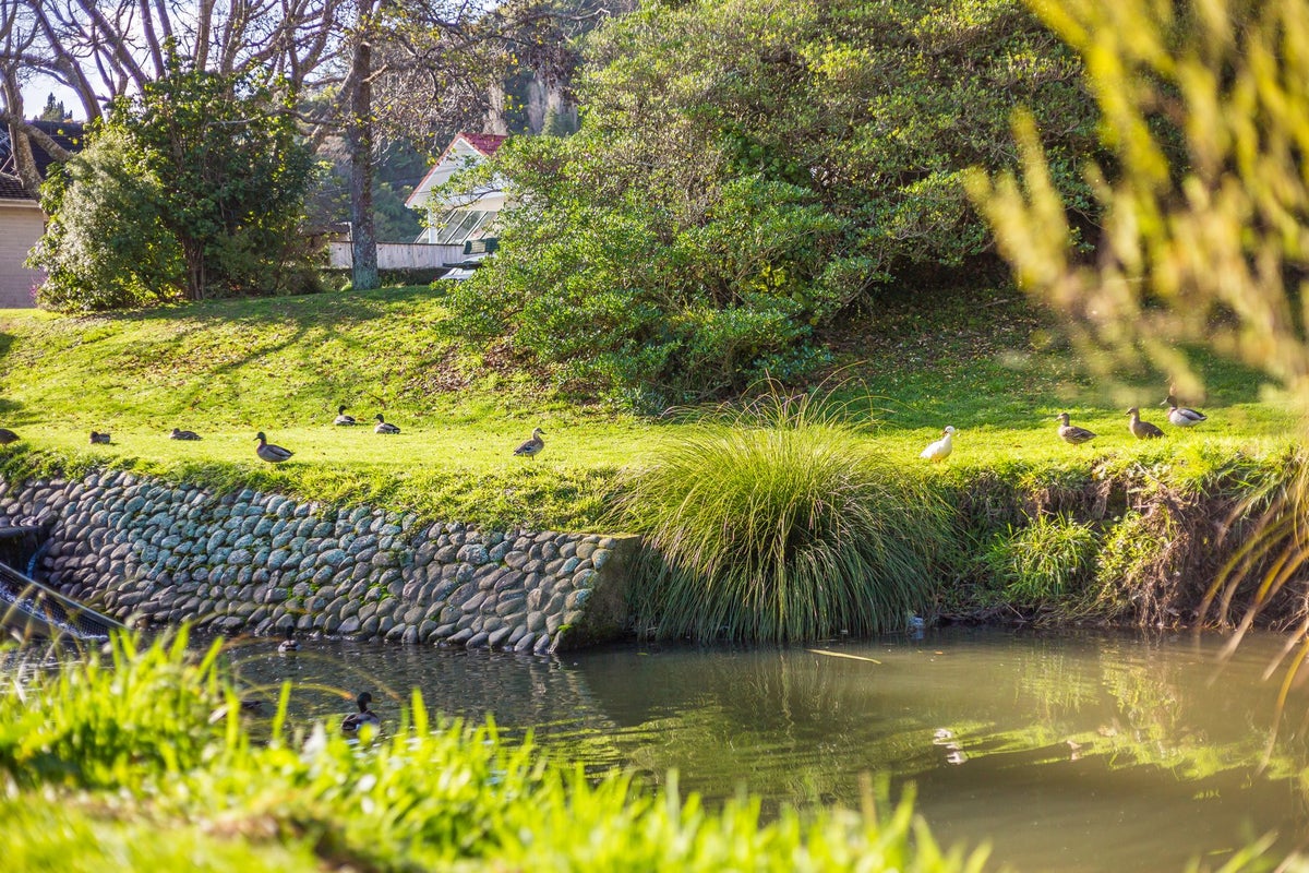 277 Riverside Drive, Waterloo, Lower Hutt - Carousel 15