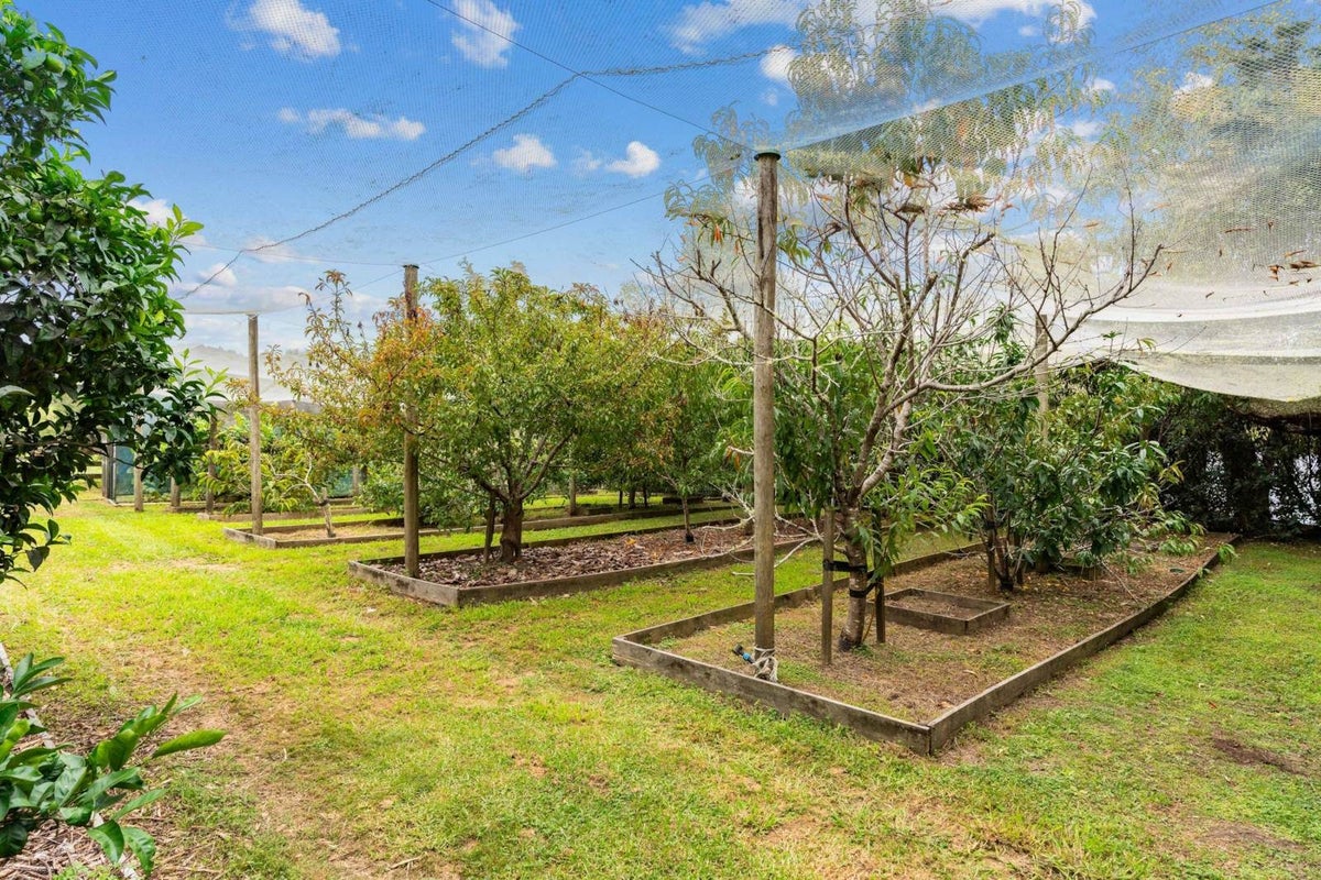 14 Ti Kouka Way, Kaiwaka, Kaiwaka - Carousel 50