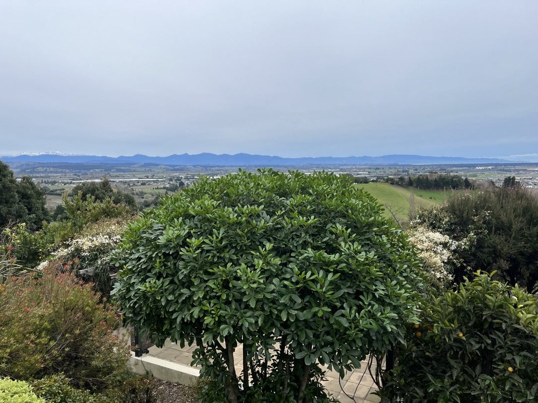 28 Sunview Heights, Hope, Richmond - Carousel 24