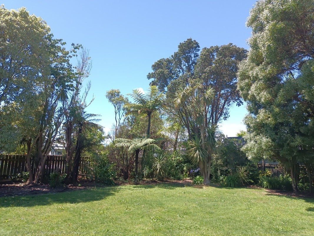 3 Watson Street, Westport, Westport - Carousel 17