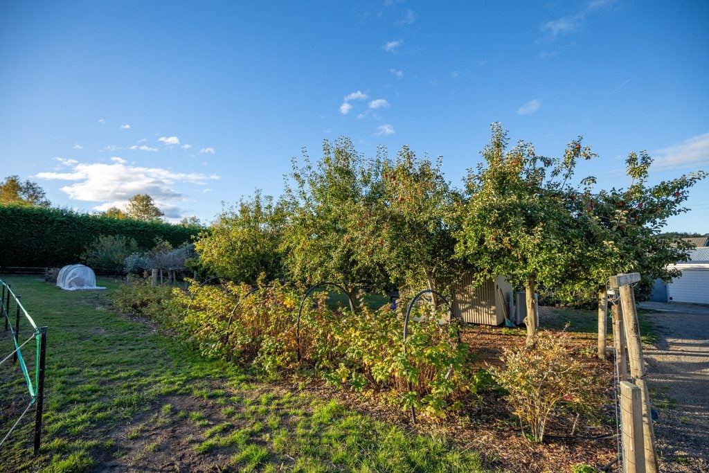 43 Johnstone Loop, Tasman - Carousel 28