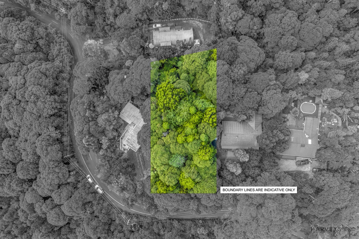 82 Mountain Road, Henderson Valley, Auckland - Carousel 2