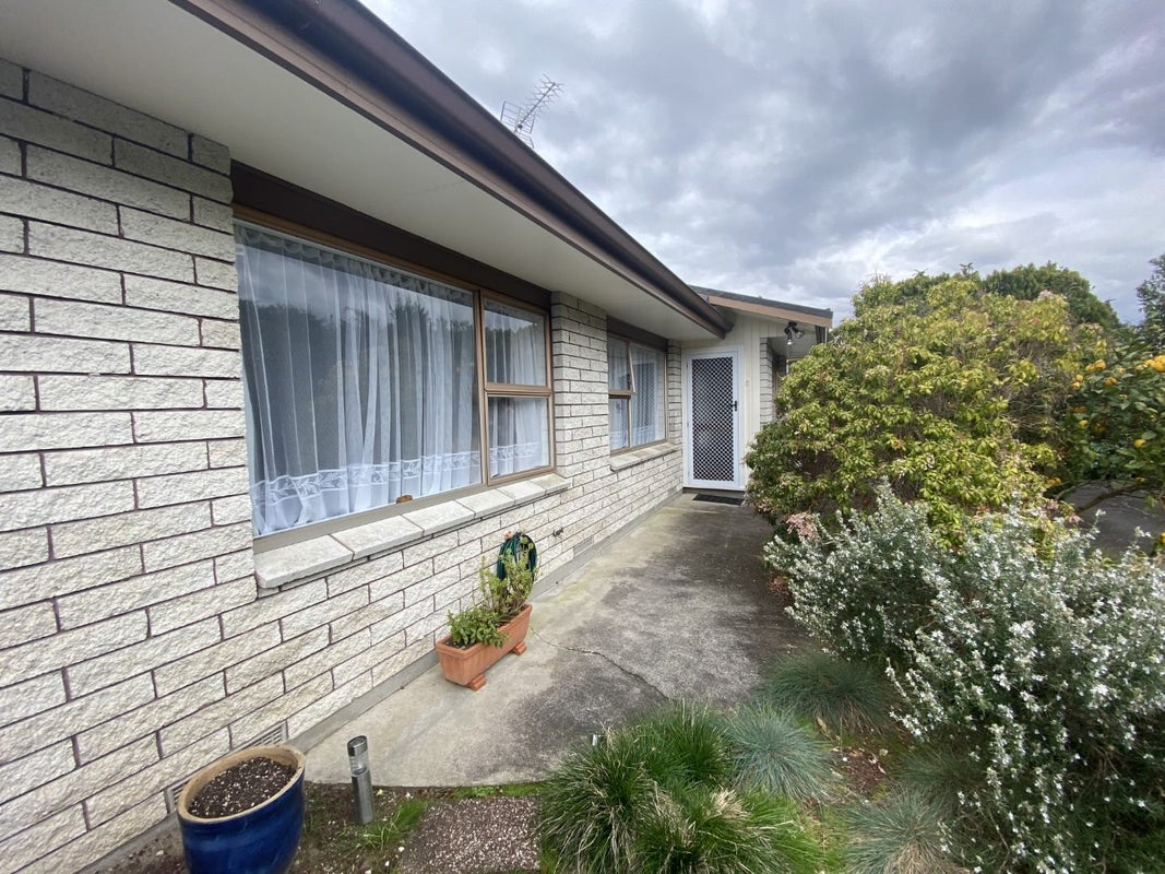 15A Warrington Street, Matua, Tauranga - Carousel 2
