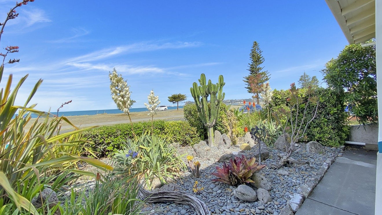 36 The Esplanade, Westshore, Napier - Carousel 25
