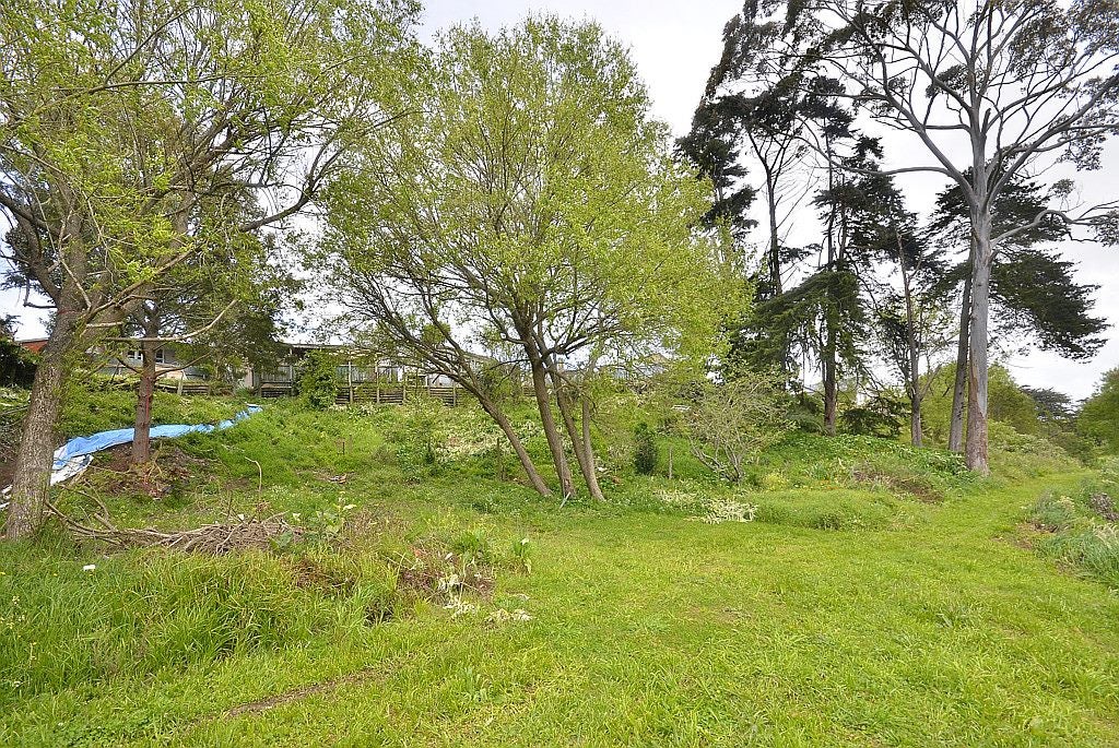 15 Olive Crescent, Papatoetoe, Auckland - Carousel 13