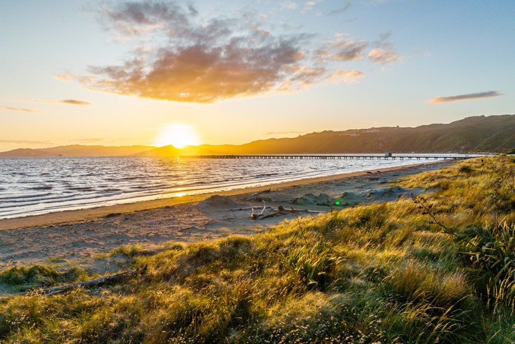 1 Richmond Street, Petone, Lower Hutt - Carousel 11
