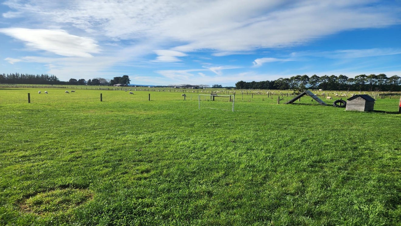 628 Woodfields Road, West Eyreton, Rangiora - Carousel 27
