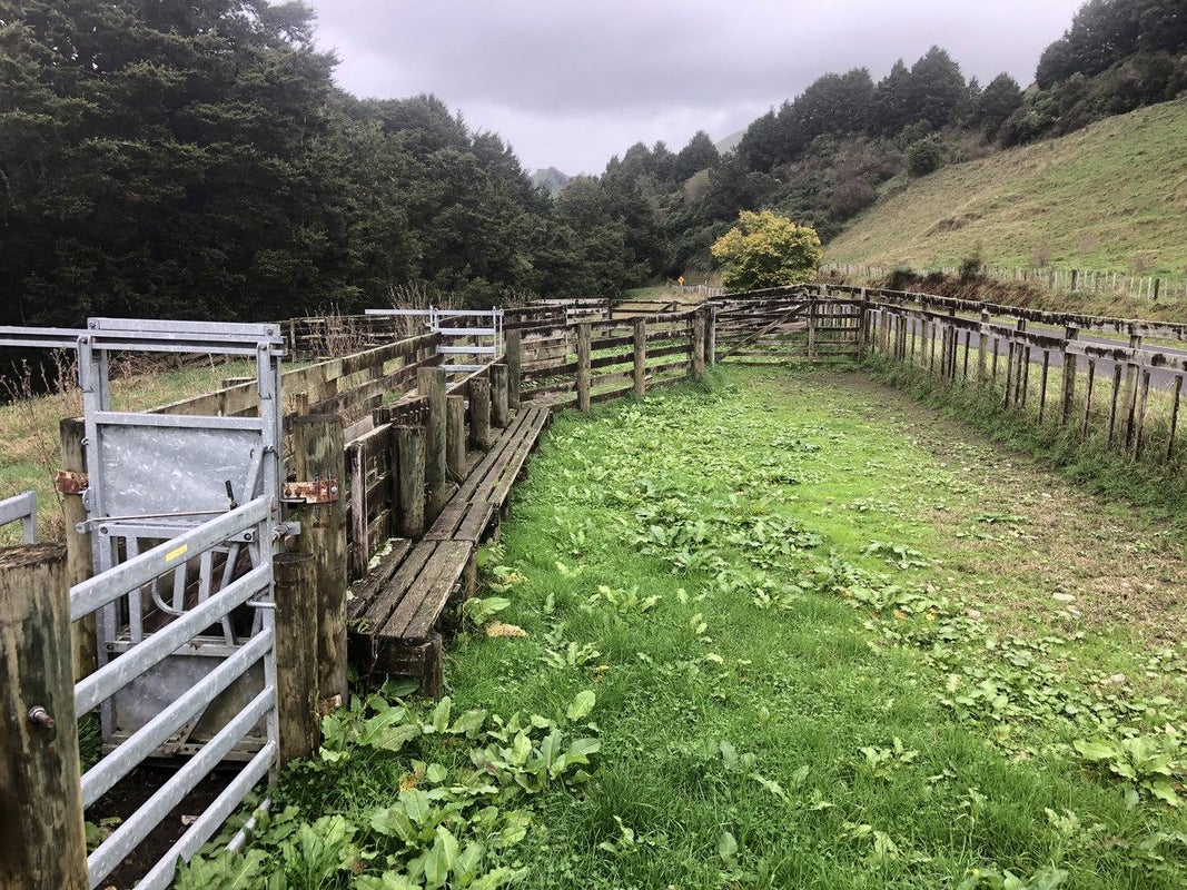 0 Takahue Saddle Road, Takahue, Kaitaia - Carousel 18