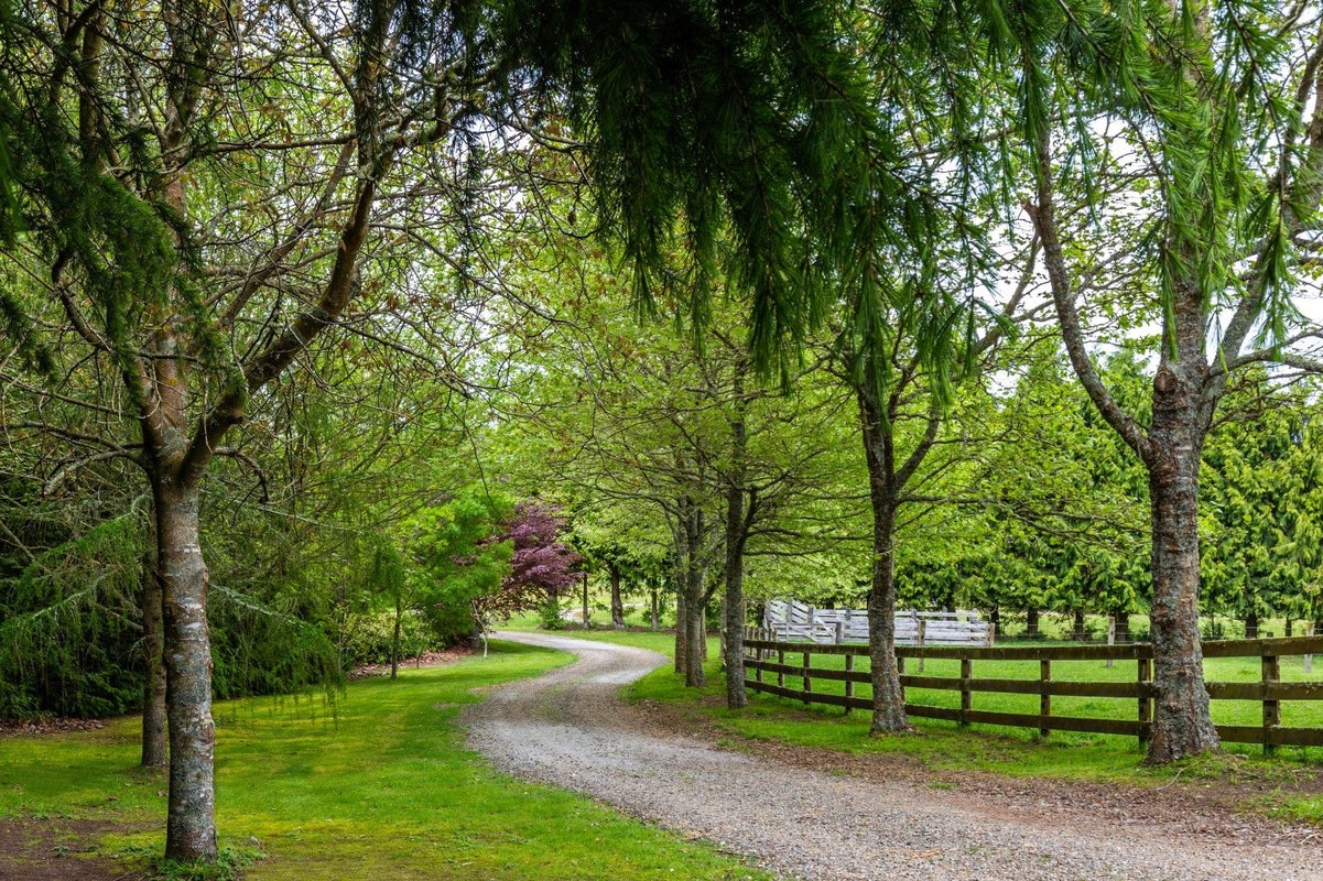 202 Palmer Mill Road, Wairakei, Taupo - Carousel 2