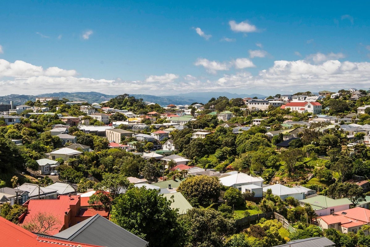35 Reuben Avenue, Brooklyn, Wellington - Carousel 18