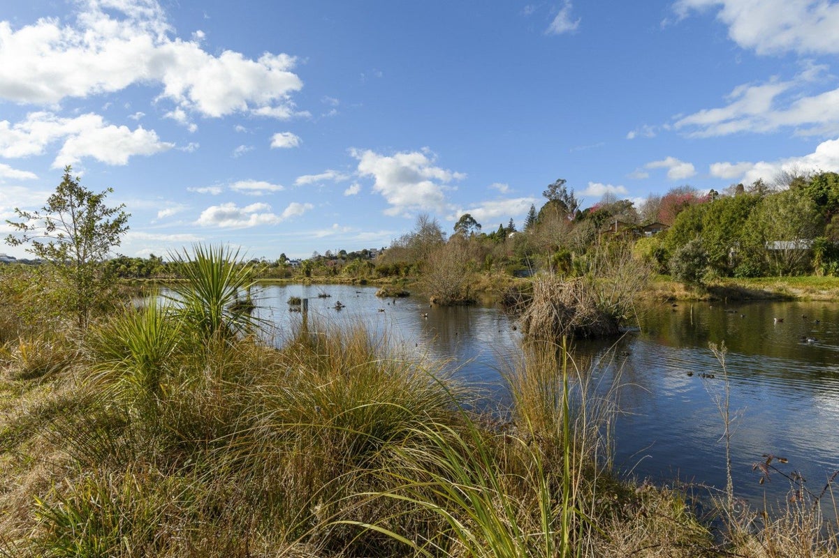 79 Watling Street, Gate Pa, Tauranga - Carousel 16