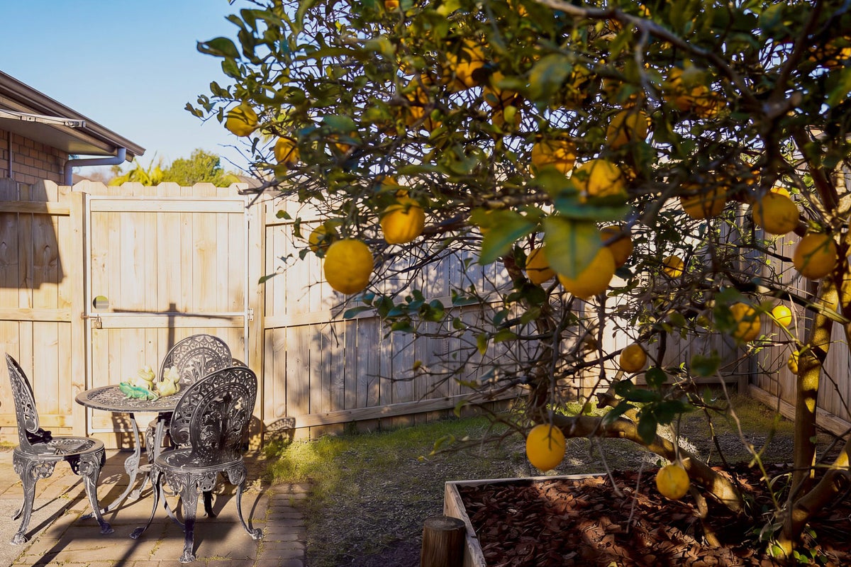 7 Fairford Avenue, Henderson, Auckland - Carousel 33