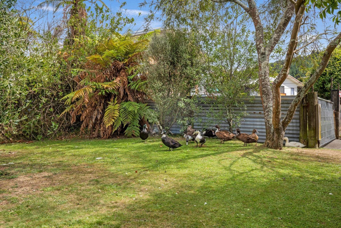 39 Collie Drive, Pukehangi, Rotorua - Carousel 17