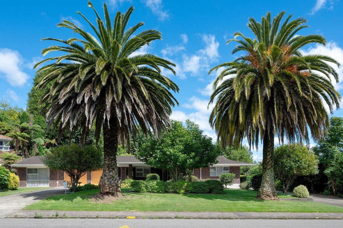 3 Tihi Road, Springfield, Rotorua - Carousel 20
