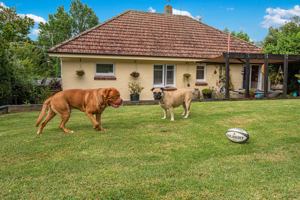 15 Russell Road, Kensington, Whangarei - Carousel 31