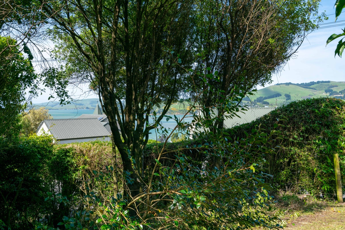 6 Hawk Lane, Saint Leonards, Dunedin - Carousel 15