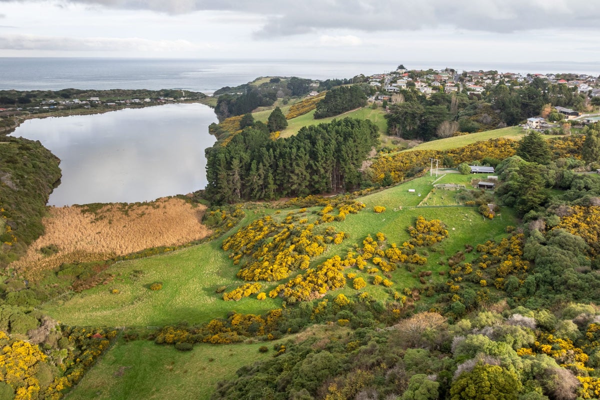 15 Darnell Street, Andersons Bay, Dunedin - Carousel 19