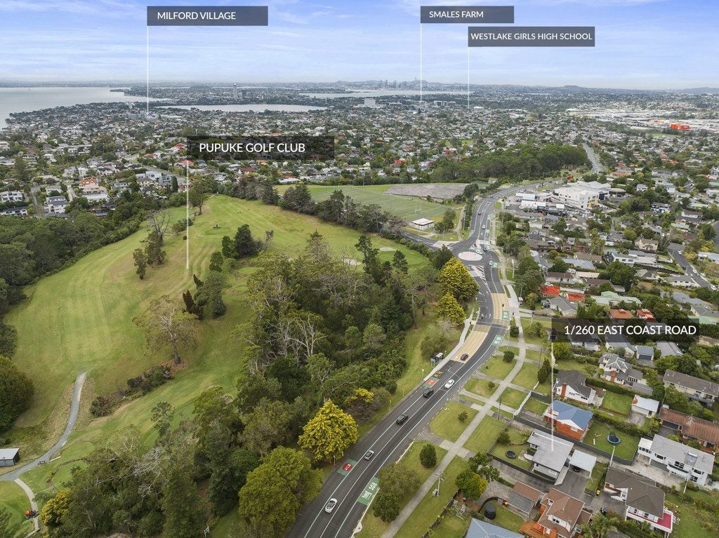 1/260 East Coast Road, Forrest Hill, Auckland - Carousel 17