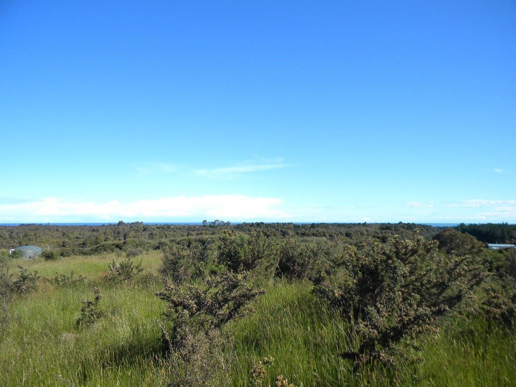 29C Reg Cox Drive, Blue Spur, Hokitika - Carousel 2