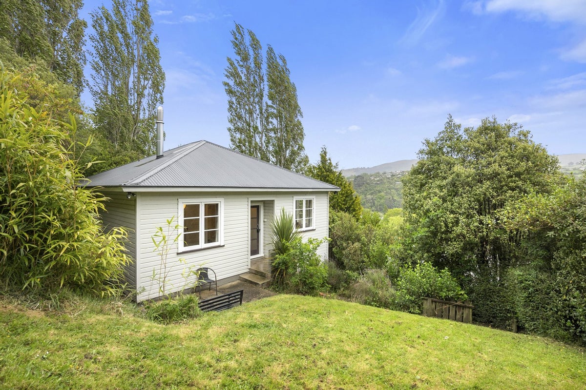 46 Grey Street, North East Valley, Dunedin - Carousel 1