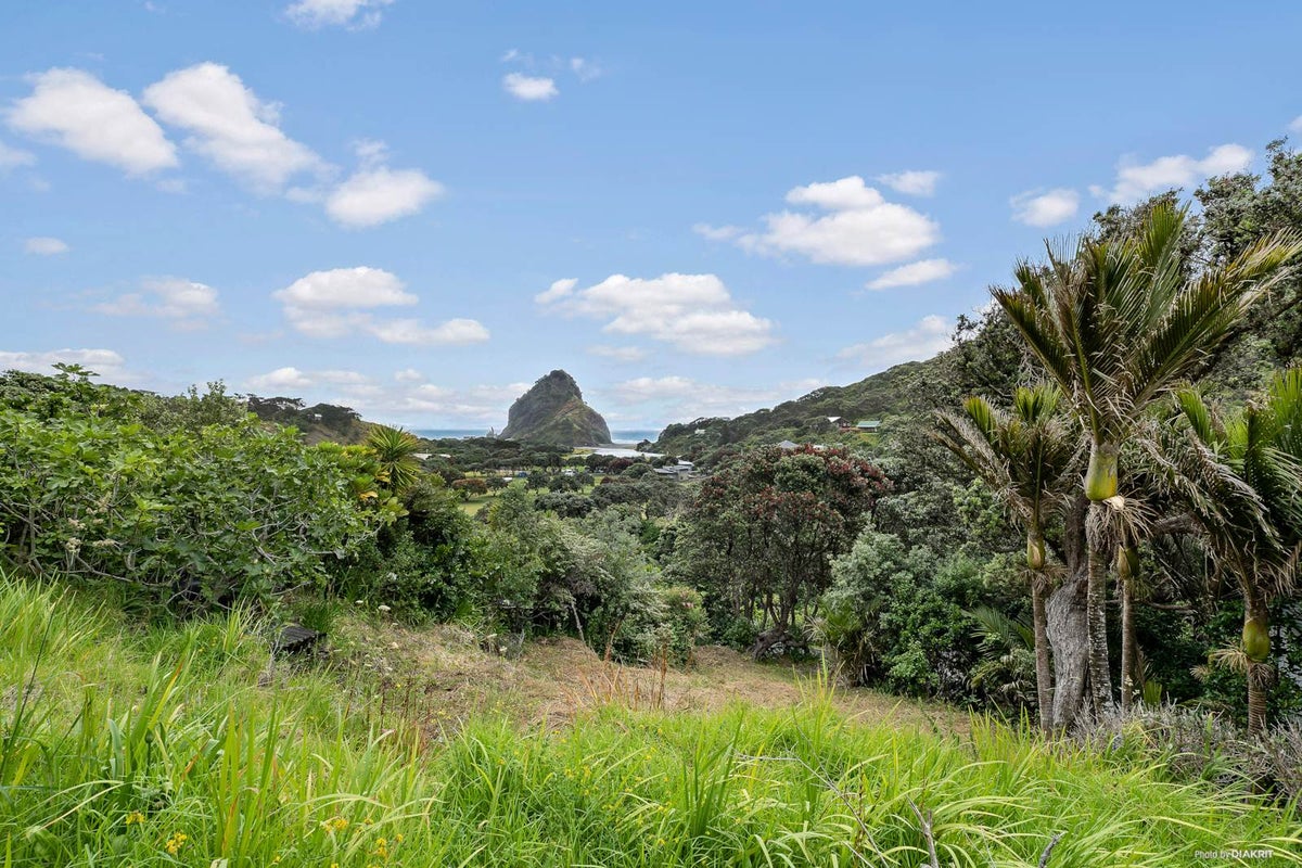 9 Glenesk Road, Piha, Piha - Carousel 2