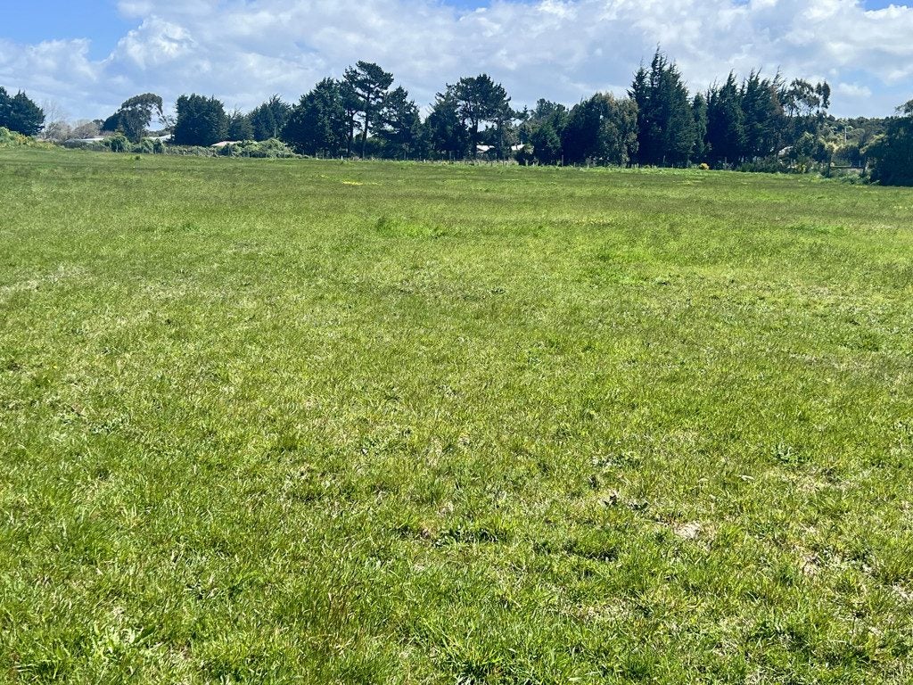 10 Amos Way, Otatara, Invercargill - Carousel 2