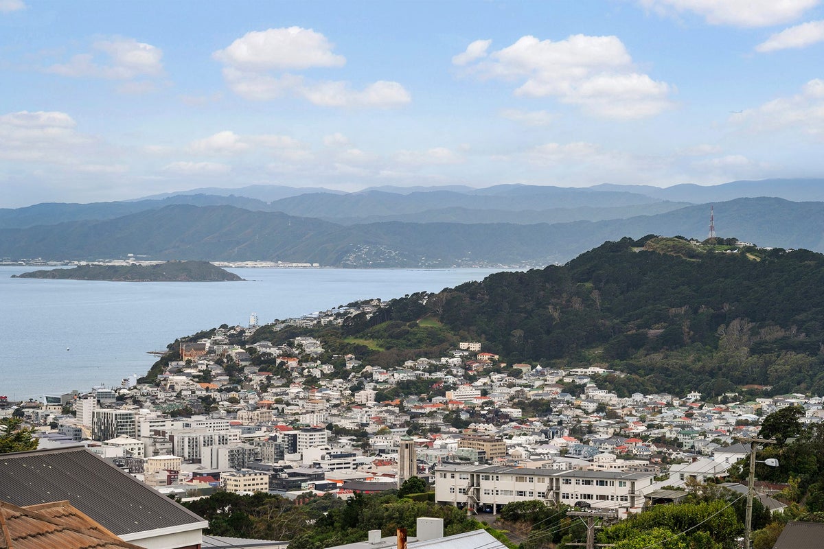 66 Mitchell Street, Brooklyn, Wellington - Carousel 2