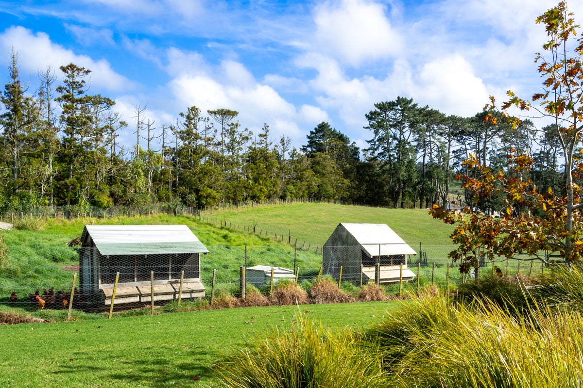 220 Trigg Road, Kumeu - Carousel 30