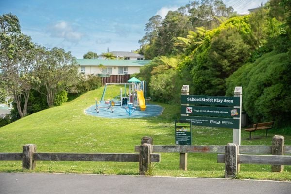 20 Salford Street, Newlands, Wellington - Carousel 11