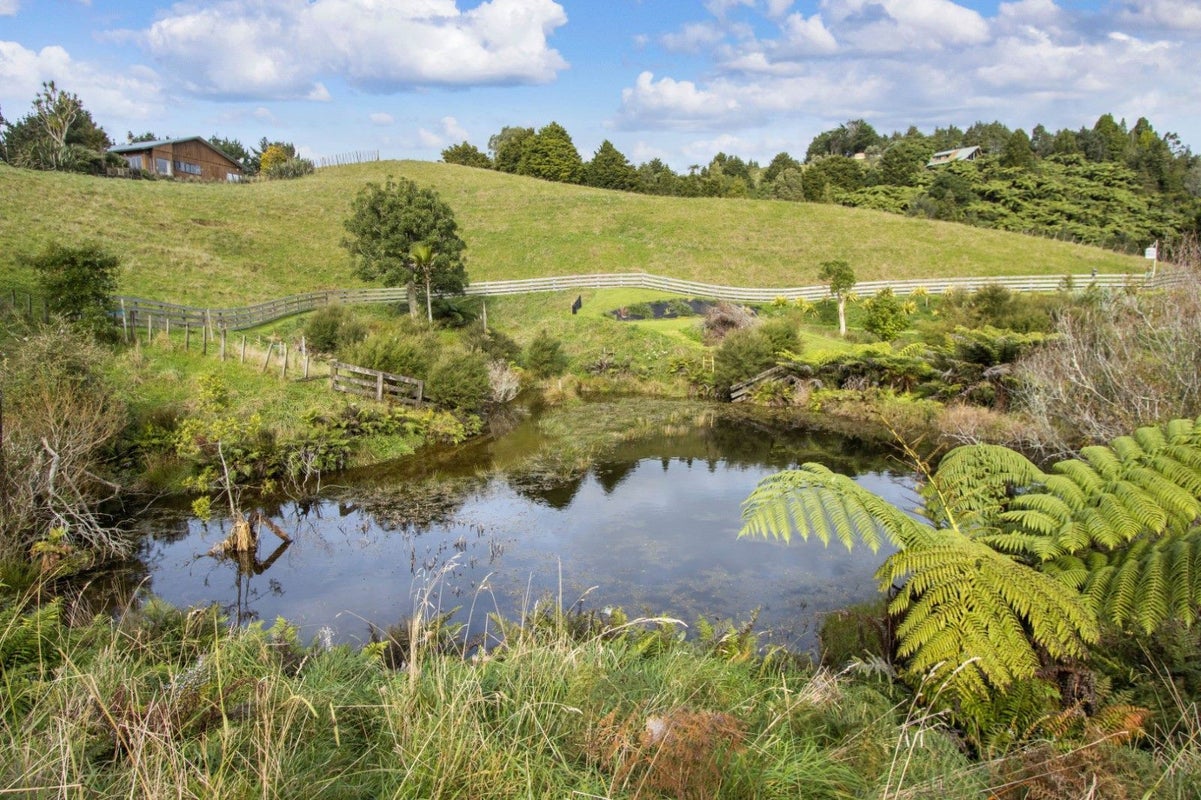 89 Dickey Flat Road, Waikino, Waihi - Carousel 13