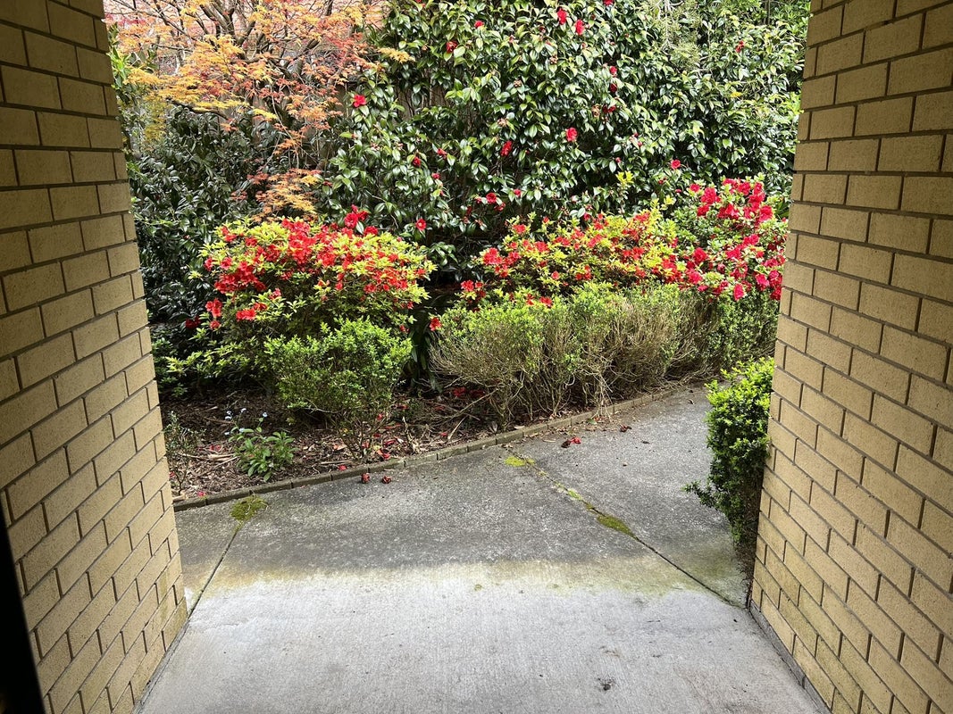 13 Advance Way, Albany, Auckland - Carousel 27