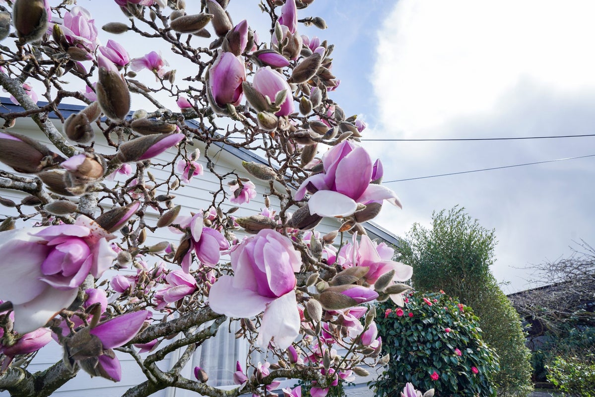 102 Ross Street, Grasmere, Invercargill - Carousel 30